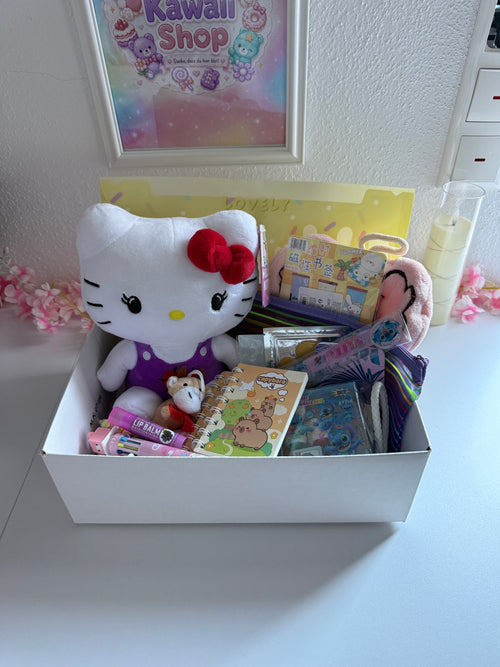 Kawaii-Überraschungspaket – 25 Produkte inkl. Plüschtier 🎀
